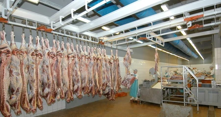 Дезинсекция на мясокомбинате в Железнодорожном, цены на услуги